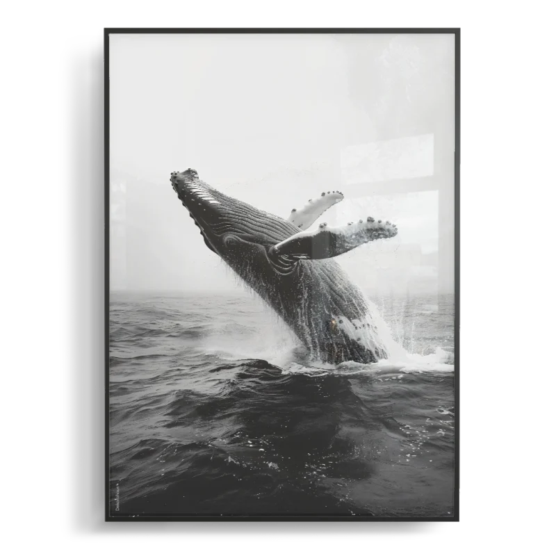 Quadro - Humpback whale - Image 2