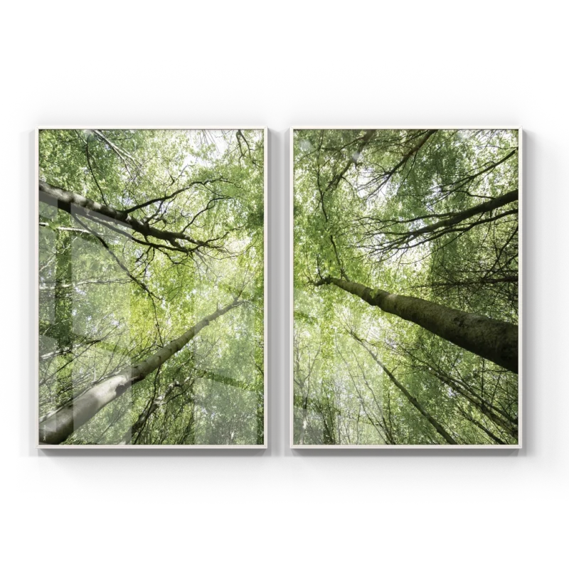 Duo - Dança Das Árvores