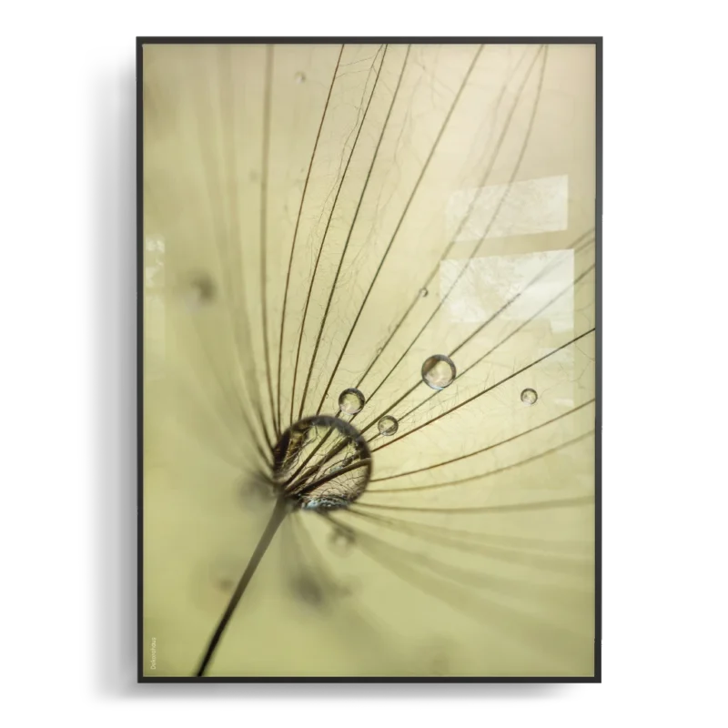 Quadro - Macro Essência