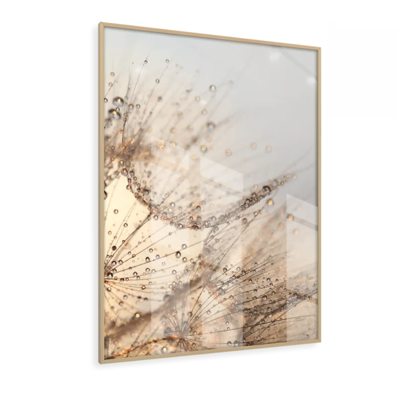 Quadro - Dente De Leão IV - Imagem 2
