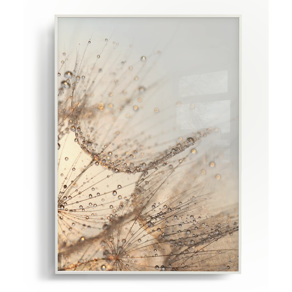 Quadro Decorativo Floral - Dente De Leão IV | Dekorahaus