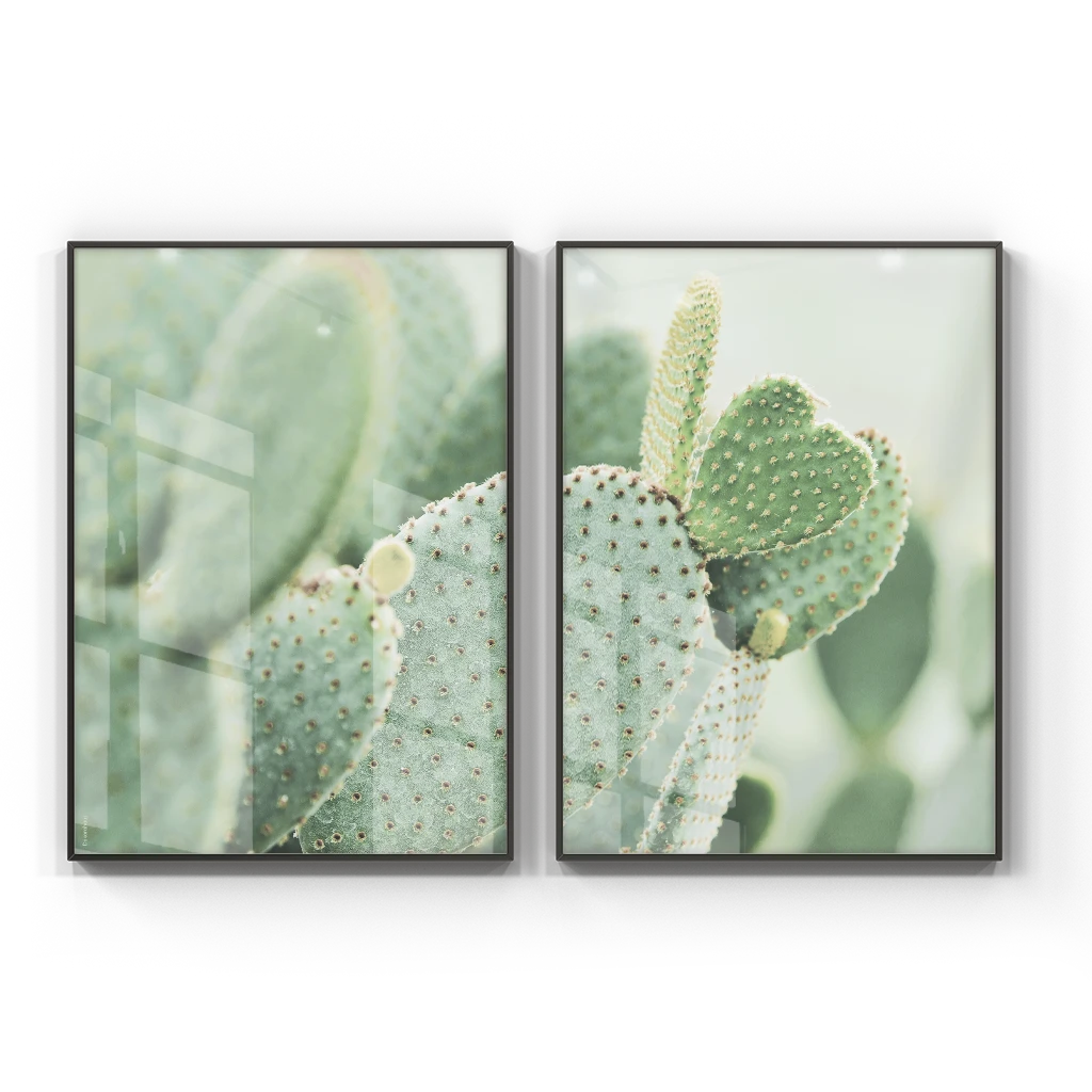 Quadros Decorativos Paisagens - Cactus – Conjunto 2 Peças | Dekorahaus