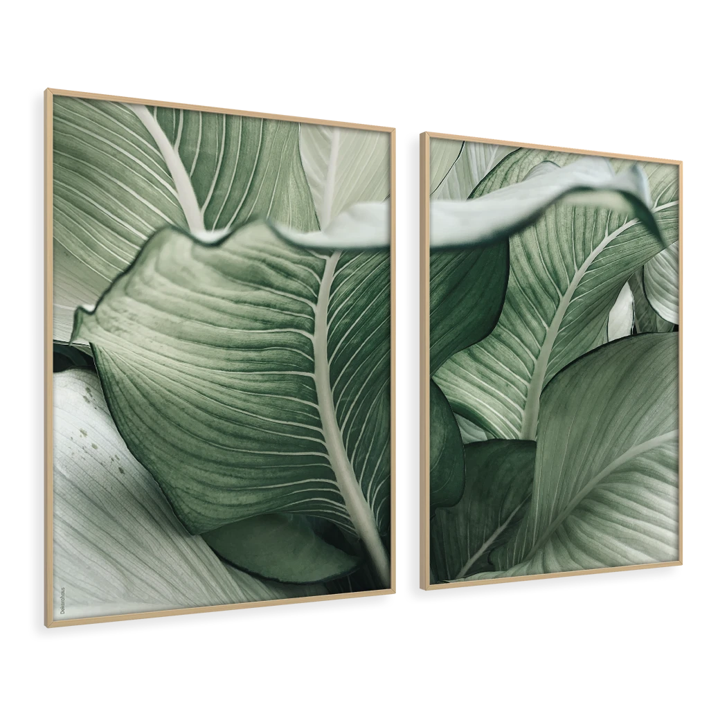 Quadros Decorativos - Folhas – Conjunto 2 Peças | Dekorahaus