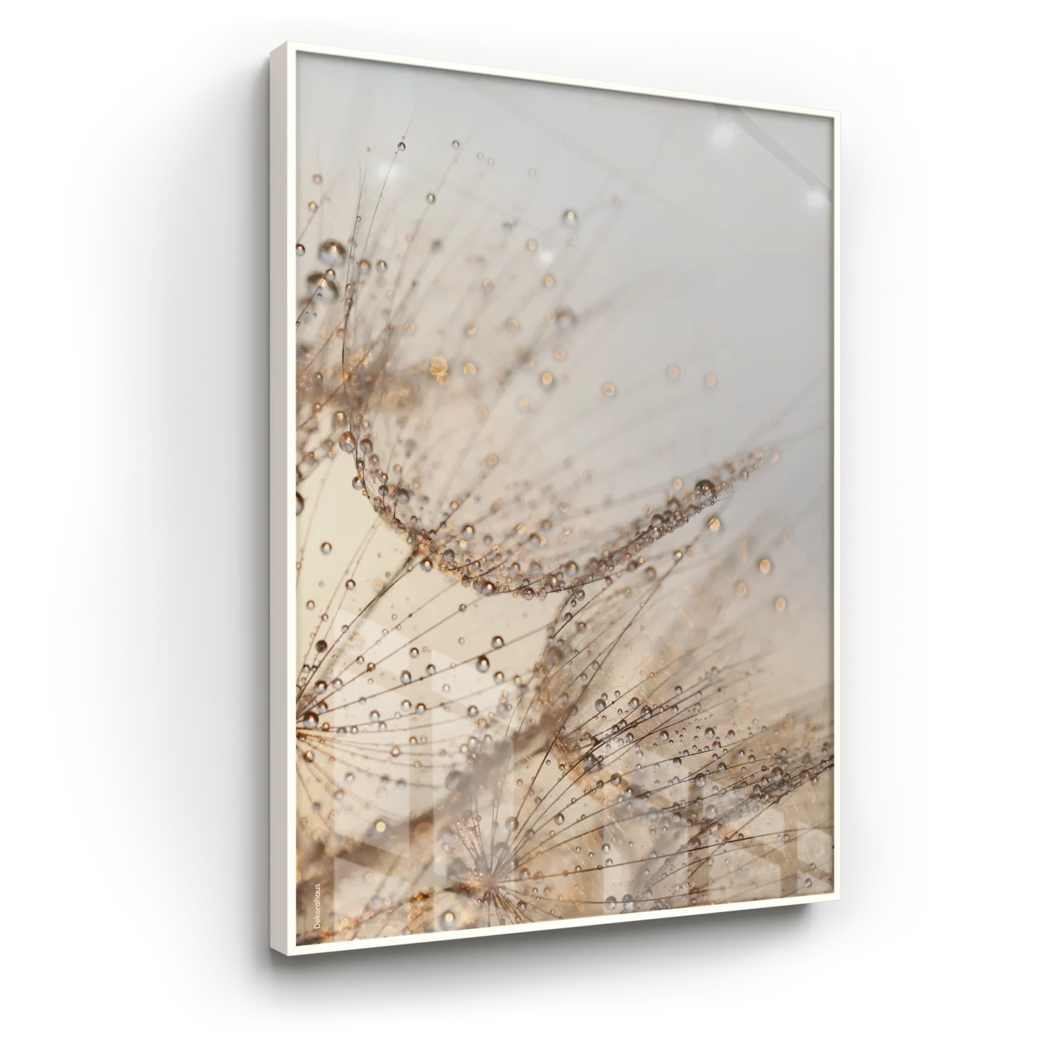 Quadro Decorativo Floral - Dente De Leão IV | Dekorahaus