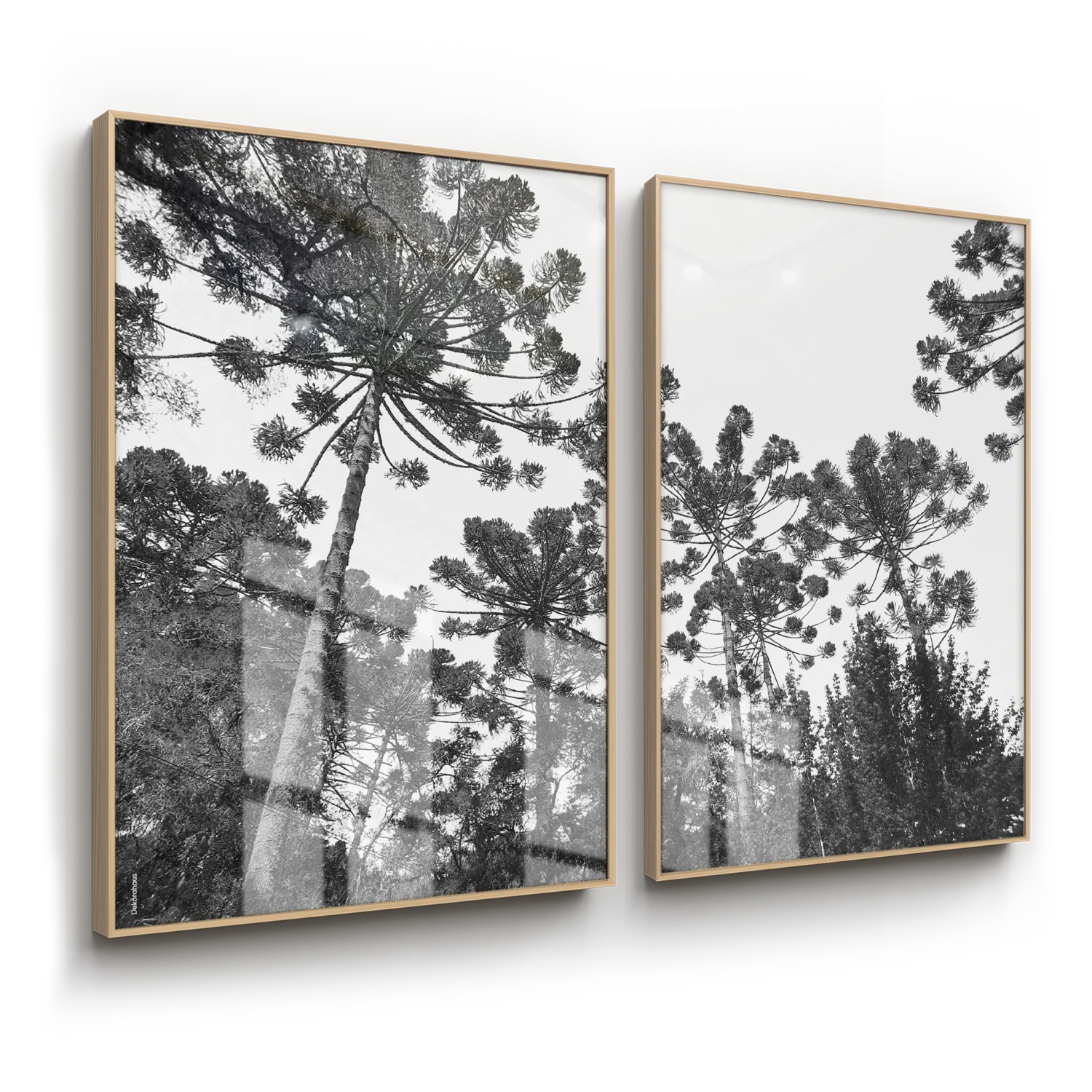 Quadros Decorativos Paisagens - Araucárias – Conjunto 2 Peças | Dekorahaus