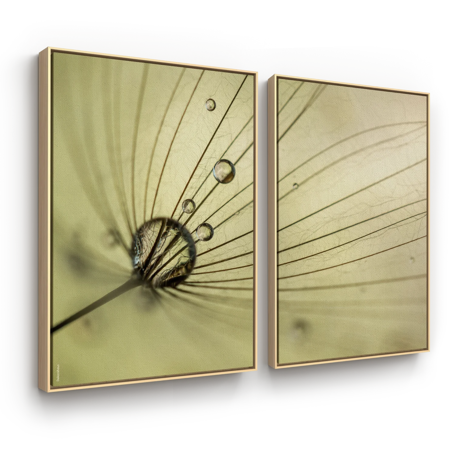 Quadros Decorativos Florais – Macro Essência II – Conjunto 2 Peças | Dekorahaus