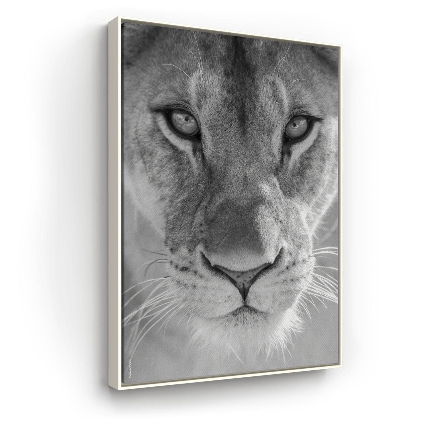 Quadro Decorativo De Leão – The Lioness  | Dekorahaus
